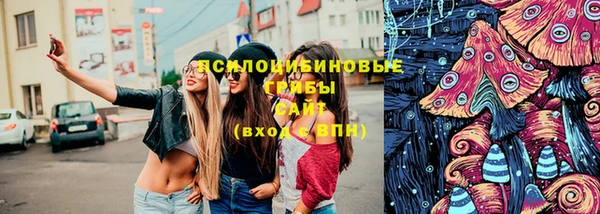 бошки Алексеевка