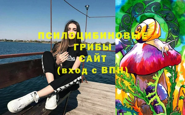 гидра Покров