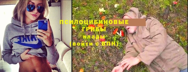 индика Алексин
