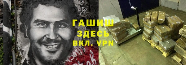 индика Алексин