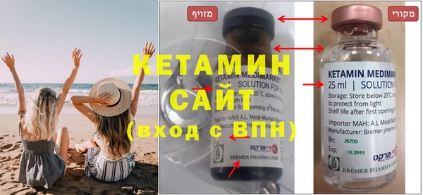 индика Алексин