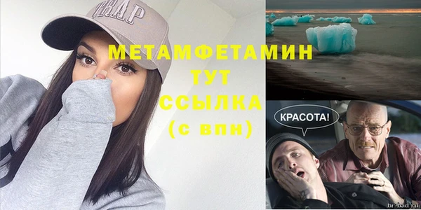 индика Алексин
