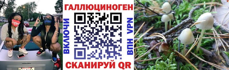 Купить  Волоколамск  Псилоцибиновые грибы Magic Shrooms 